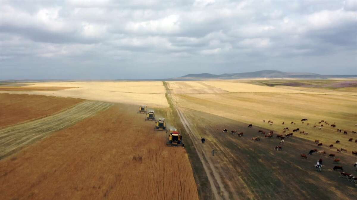 Taner bu yıl çiftçinin cebini dolduracak 14
